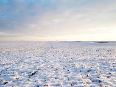 sneg obradovao poljoprivredne proizvodjace