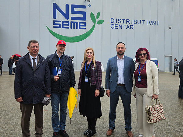Seme Repice Održan Dan polja strnih žita, uljane repice i krmnog bilja - NS SEME ...