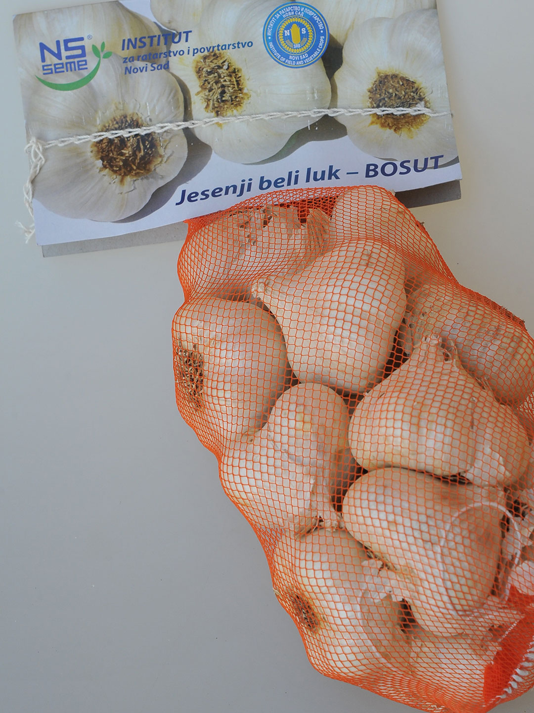 Beli luk Bosut – sertifikovan sadni materijal